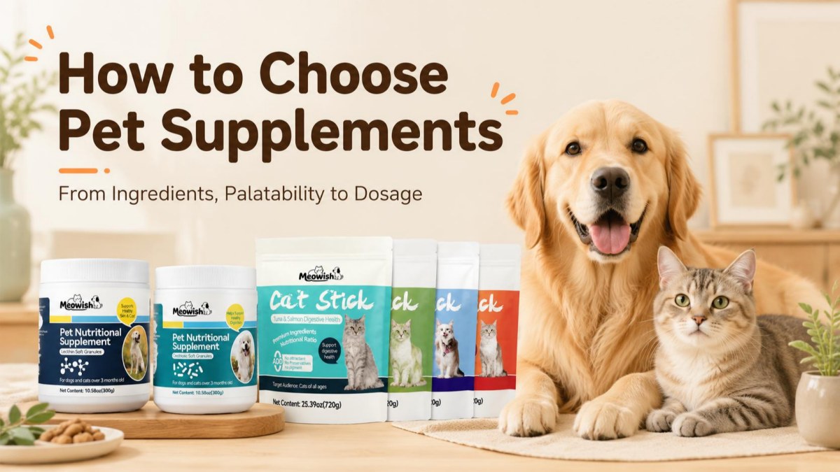How to Choose Pet Supplies?
